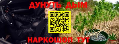 шишки Гусь-Хрустальный