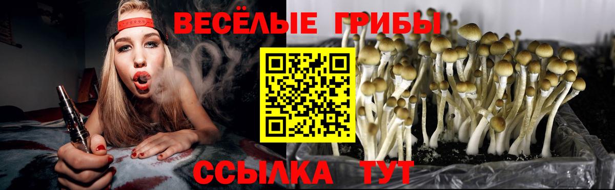 Кохма  Галлюциногенные грибы мицелий  Вход с VPN 